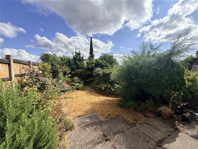 Picture 15